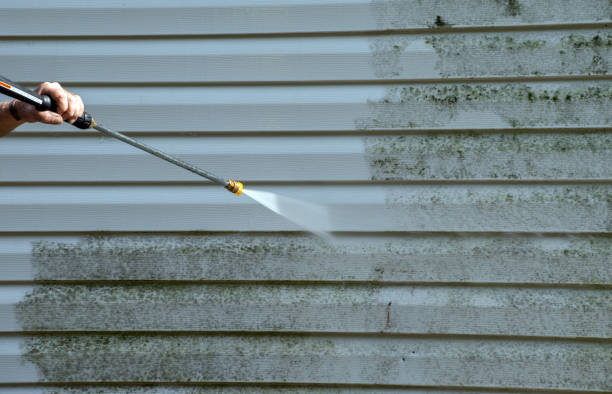 Professional Pressure Washing Services in Woodstock, IL