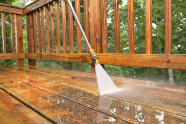 Best Gutter Cleaning  in Woodstock, IL